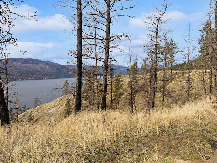 Lot-20 Tyndall Road, Lake Country, BC, V4V 0A9 - 14