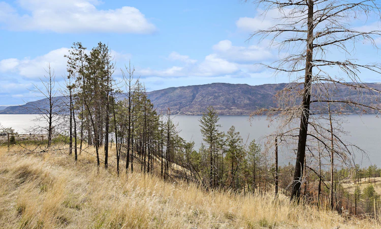 Lot-17 Tyndall Road