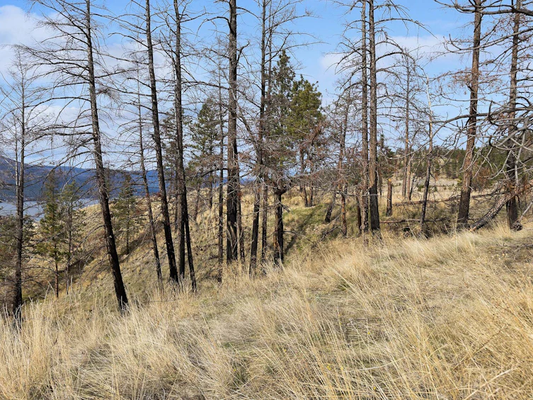 Lot-26 Tyndall Road, Lake Country, BC, V4V 0A9 - 16