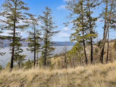 Lot-26 Tyndall Road - 5