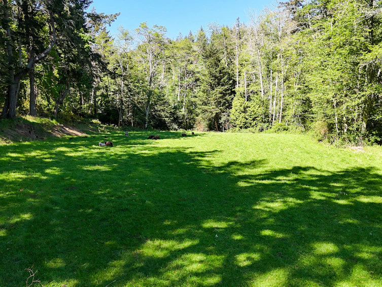151 Upper Ganges Road, Salt Spring Island, BC, V8K 2S2 - 11