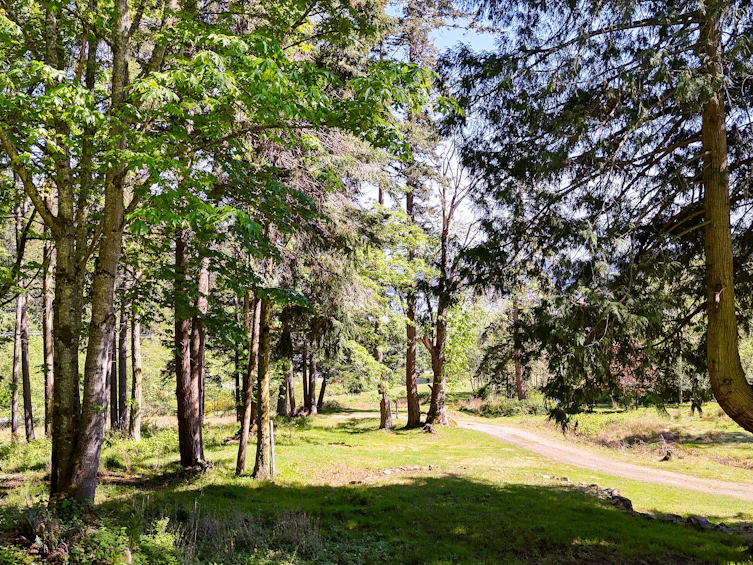 151 Upper Ganges Road, Salt Spring Island, BC, V8K 2S2 - 14