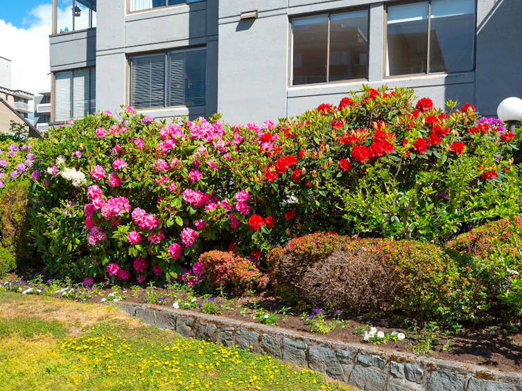 701-1341 Clyde Avenue, West Vancouver, BC, V7T 1E8 - 5