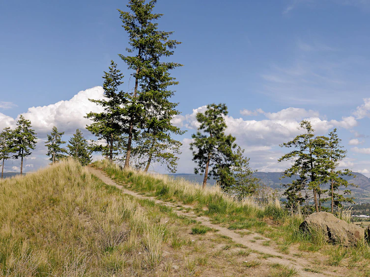206 Wilden Ridge Drive, Kelowna, BC, V1V 2Z9 - 83