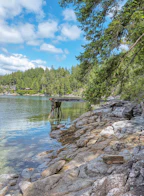 6761 Sandy Hook Trail