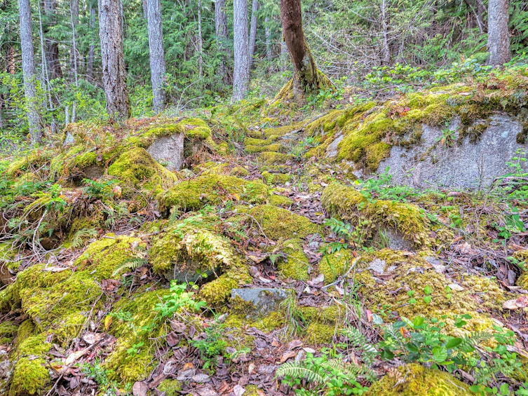 6761 Sandy Hook Trail, Sechelt, BC, V7Z 0C9 - 22