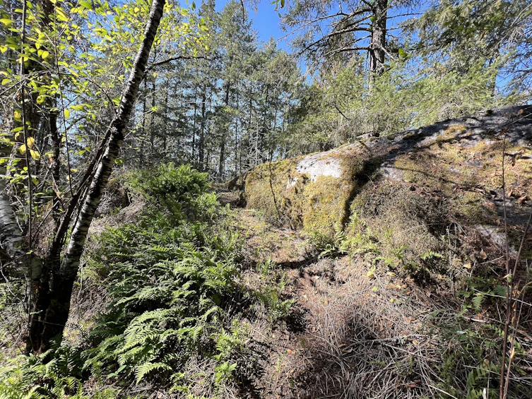 Lot-21 Sechelt Inlet Road, Sechelt, BC, V7Z 0C9 - 7