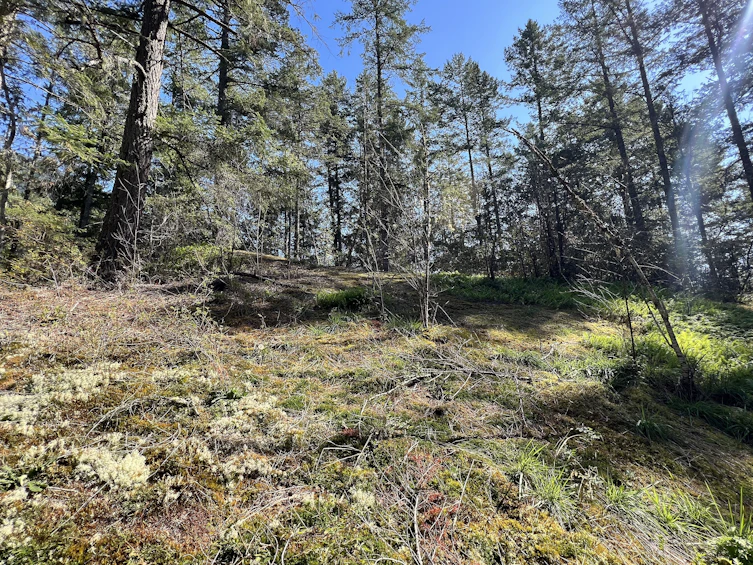 Lot-21 Sechelt Inlet Road, Sechelt, BC, V7Z 0C9 - 8