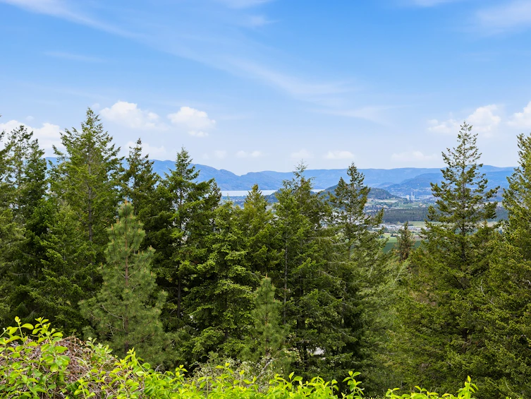 5757 N Upper Booth Road, Kelowna, BC, V1X 7V7 - 41