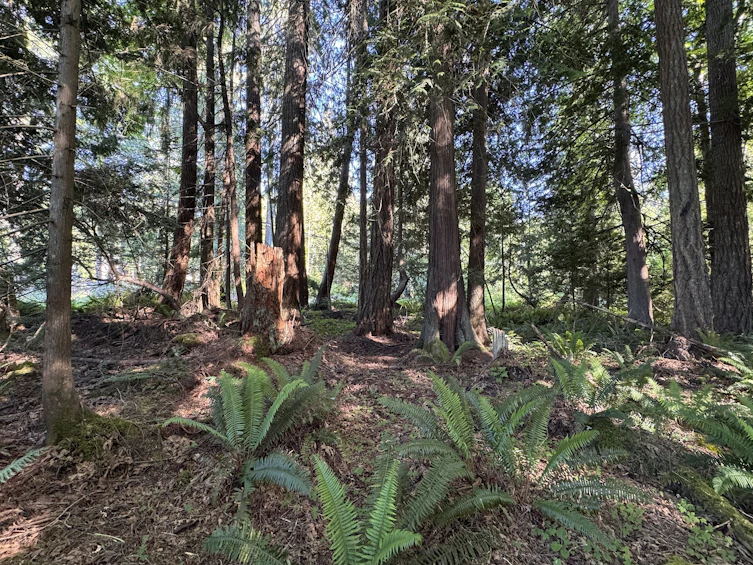 Lot-A Sechelt Inlet Road, Sechelt, BC, V7Z 0L3 - 19