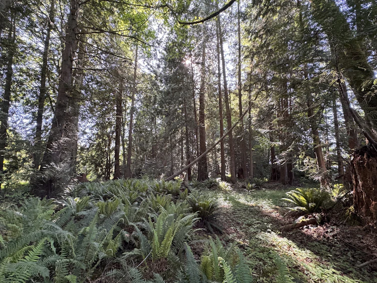 Lot-A Sechelt Inlet Road, Sechelt, BC, V7Z 0L3 - 18