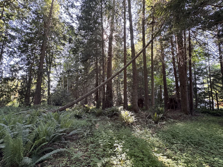 Lot-A Sechelt Inlet Road, Sechelt, BC, V7Z 0L3 - 22
