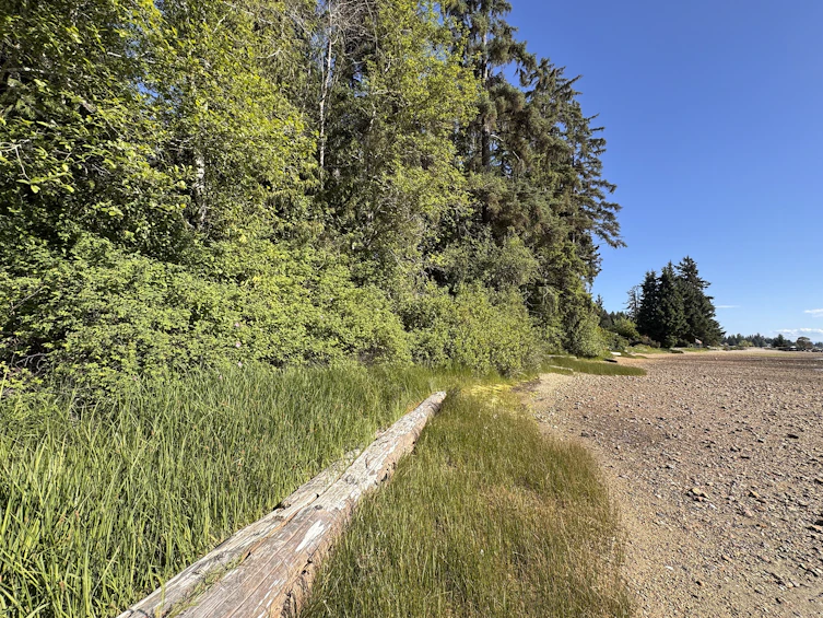 Lot-A Sechelt Inlet Road, Sechelt, BC, V7Z 0L3 - 7