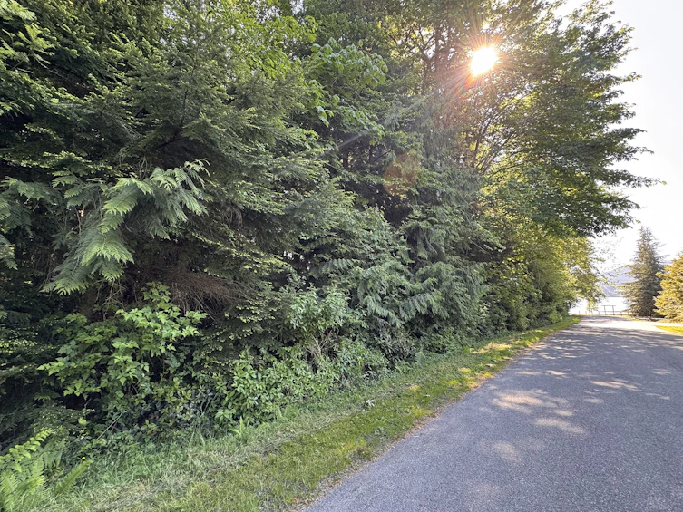 Lot-A Sechelt Inlet Road, Sechelt, BC, V7Z 0L3 - 13