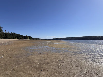 Lot-A Sechelt Inlet Road - 5