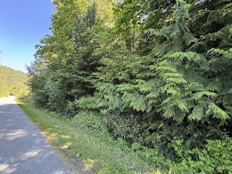 Lot-A Sechelt Inlet Road, Sechelt, BC, V7Z 0L3 - 14