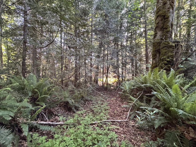 Lot-A Sechelt Inlet Road, Sechelt, BC, V7Z 0L3 - 23