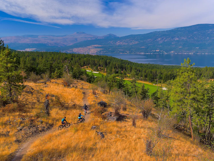 818 Brassey Place, Vernon, BC, V1H 2H7 - 103
