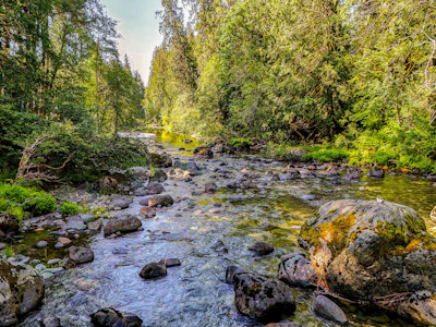 2980 Sooke River Road - 2