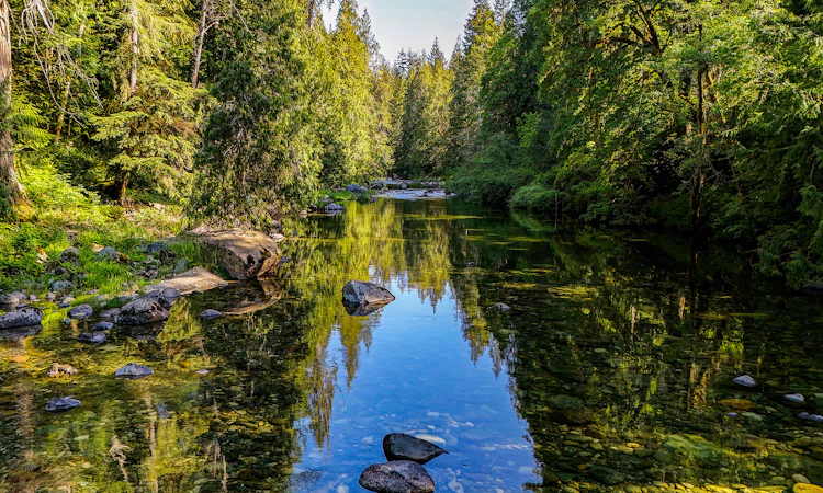 2980 Sooke River Road