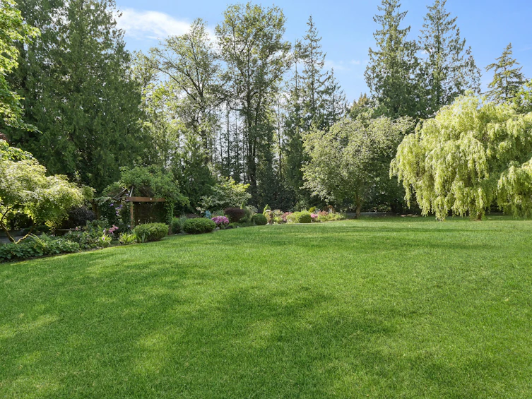 433 202nd Street, Langley, BC, V2Z 1V7 - 31