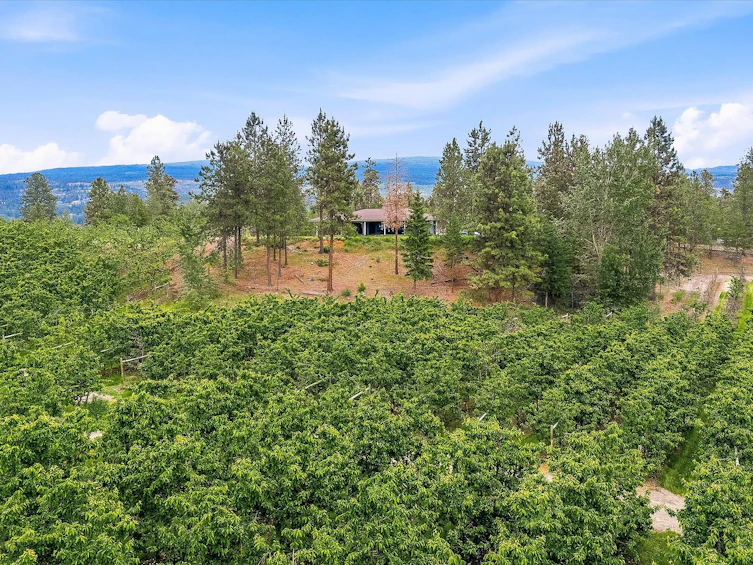 4235 Todd Road, Kelowna, BC, V1W 4B8 - 19
