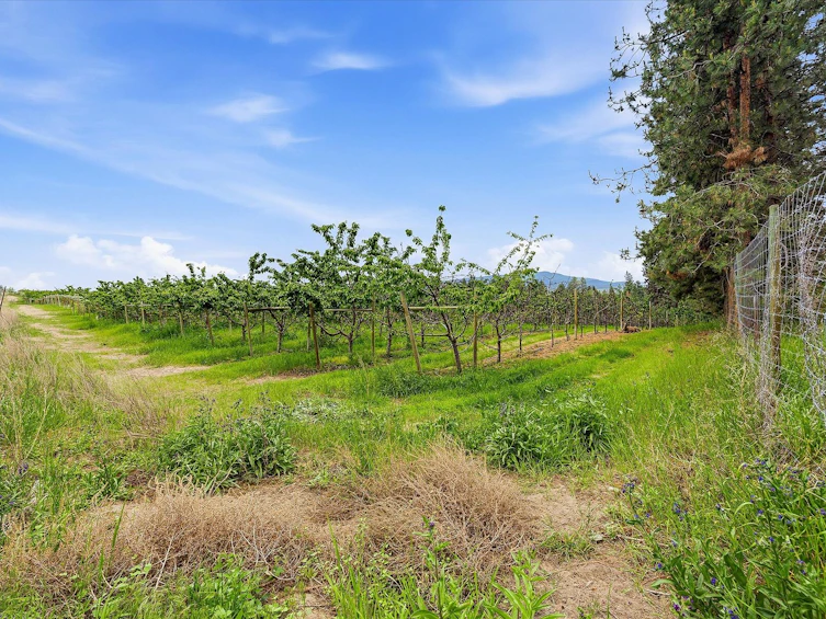4235 Todd Road, Kelowna, BC, V1W 4B8 - 43