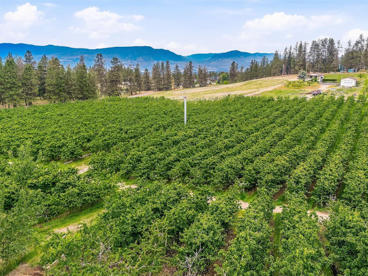 4235 Todd Road, Kelowna, BC, V1W 4B8 - 17