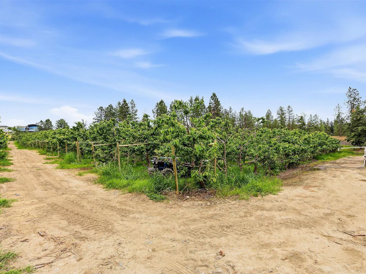 4235 Todd Road, Kelowna, BC, V1W 4B8 - 37