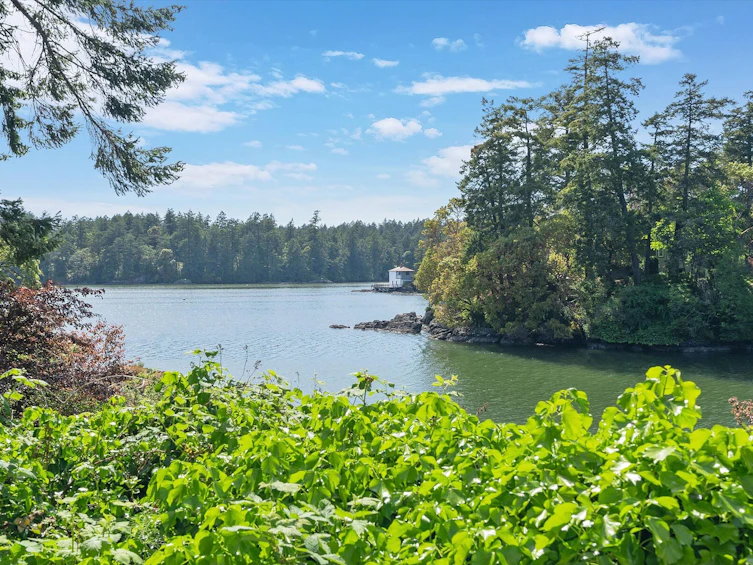 10 Governors Point Road, View Royal, BC, V9B 5L8 - 15
