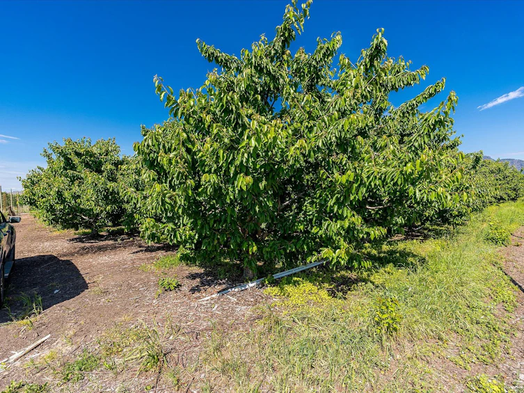 2775 Dunster Road, Kelowna, BC, V1V 4H4 - 13