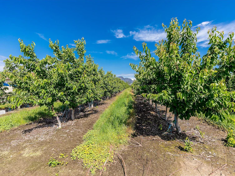 2775 Dunster Road, Kelowna, BC, V1V 4H4 - 12