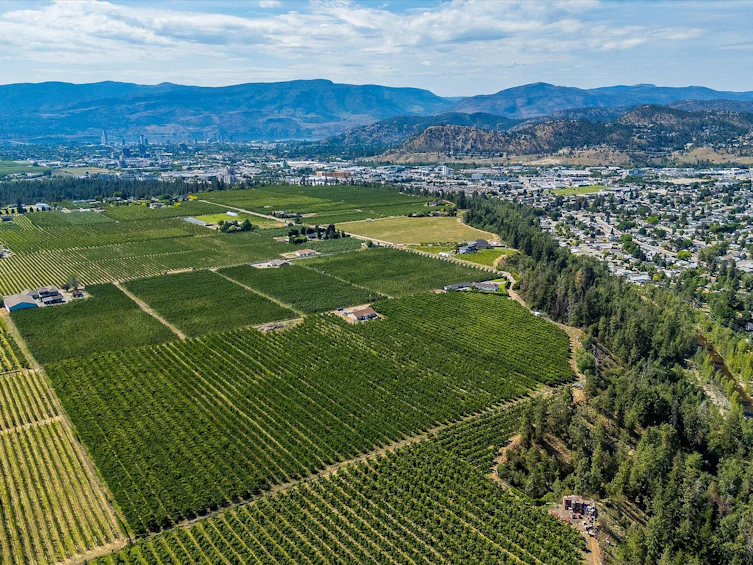 2775 Dunster Road, Kelowna, BC, V1V 4H4 - 5