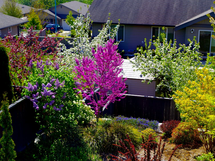 6263 Apollo Road, Sechelt, BC, V7Z 0N7 - 34