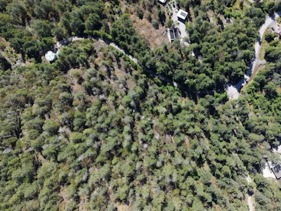 Lot-116 Godkin Way - 4