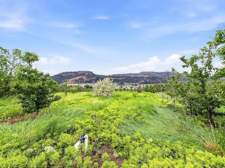 319 Valley Road, Kelowna, BC, V1W 4C5 - 60