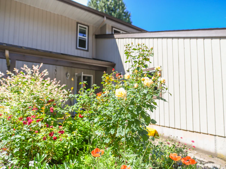 4-4850 207 Street, Langley, BC, V3A 2E3 - 4