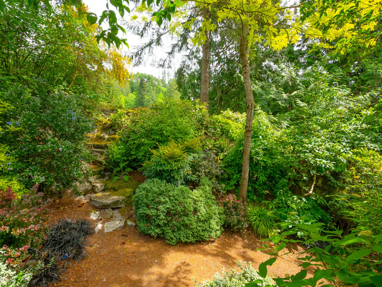 5335 Marine Drive, West Vancouver, BC, V7W 2P9 - 37