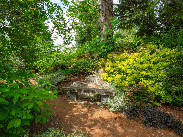 5335 Marine Drive, West Vancouver, BC, V7W 2P9 - 39