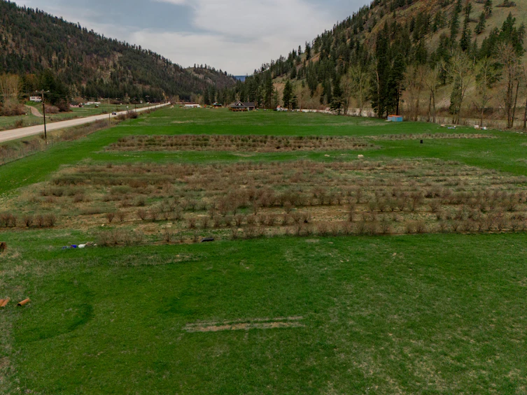 786 3 Highway, Princeton, BC, V0X 1W0 - 3