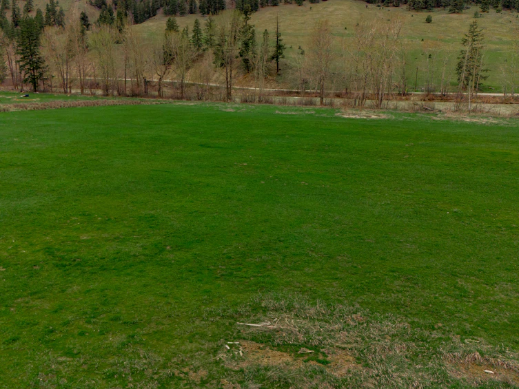 786 3 Highway, Princeton, BC, V0X 1W0 - 6