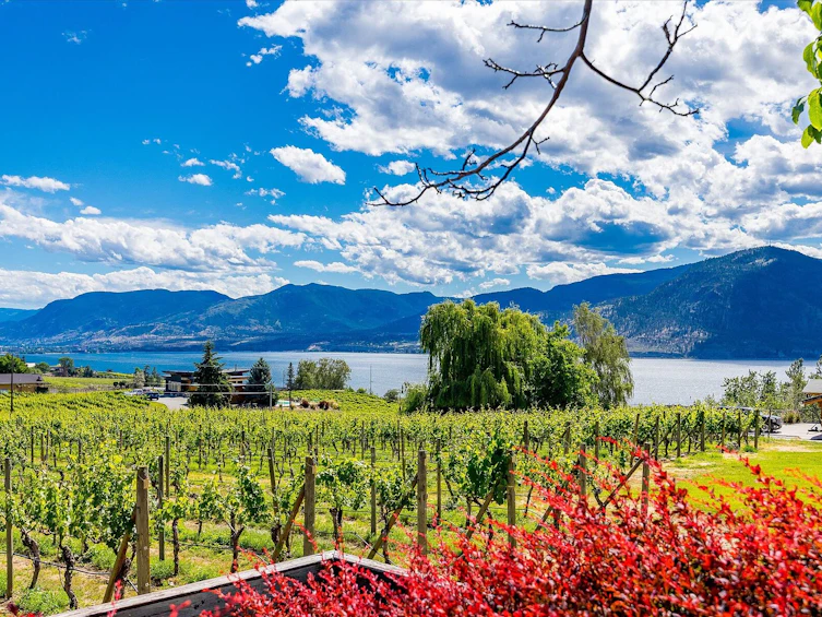 1055 Pearson Road, Penticton, BC, V2A 8T9 - 62