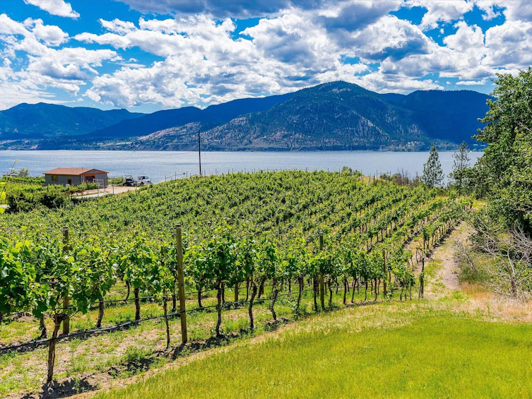 1055 Pearson Road, Penticton, BC, V2A 8T9 - 66