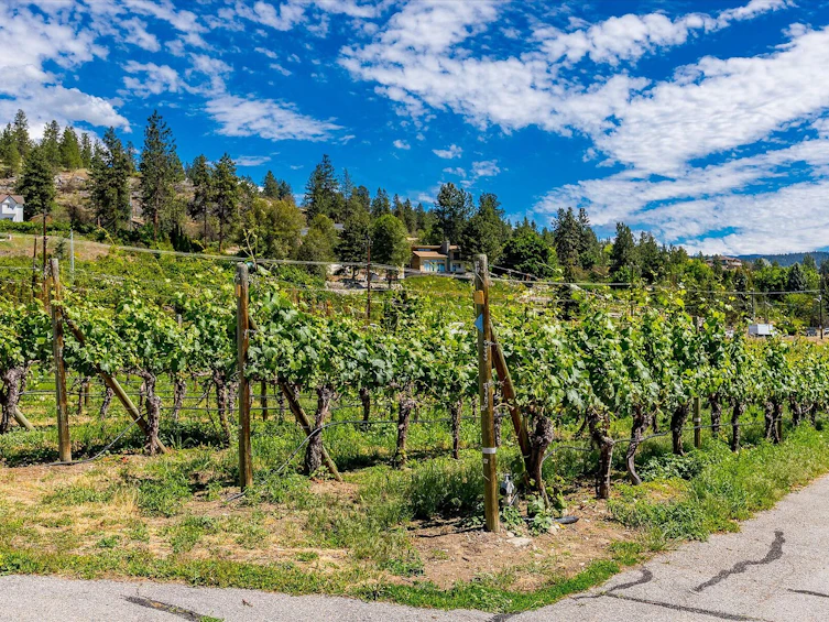 1055 Pearson Road, Penticton, BC, V2A 8T9 - 71