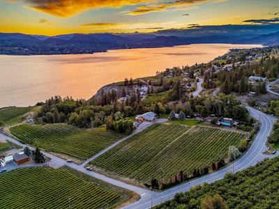 1055 Pearson Road - 4