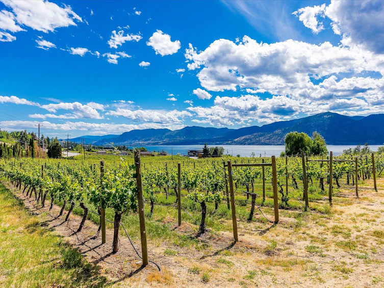 1055 Pearson Road, Penticton, BC, V2A 8T9 - 69