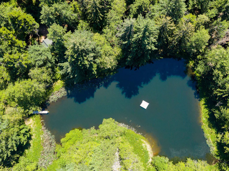 377 Seymour Heights, Salt Spring Island, BC, V8K 2B6 - 45