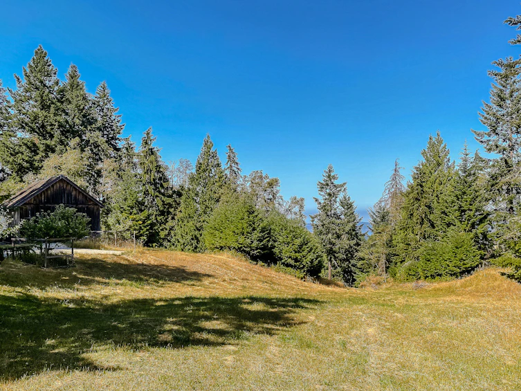 377 Seymour Heights, Salt Spring Island, BC, V8K 2B6 - 46