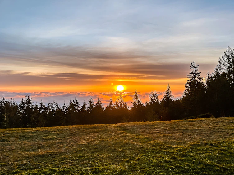 377 Seymour Heights, Salt Spring Island, BC, V8K 2B6 - 50