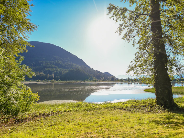 9172 Shook Road, Mission, BC, V2V 7M1 - 19